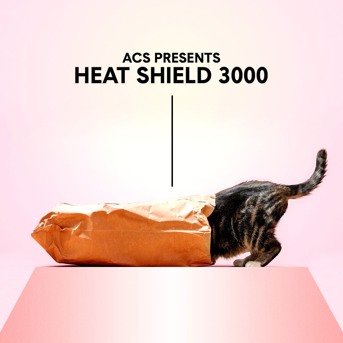 ACS_HeatShield ACS_HeatShield